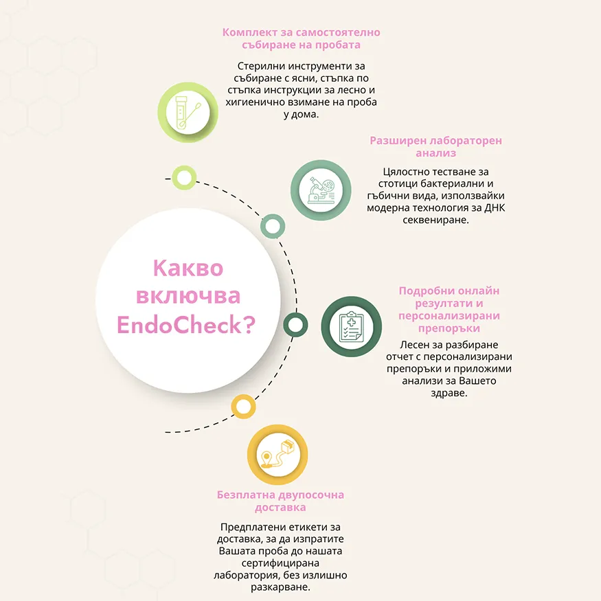 EndoCheck: изследване на маточната среда (ендометриум) - Image 4
